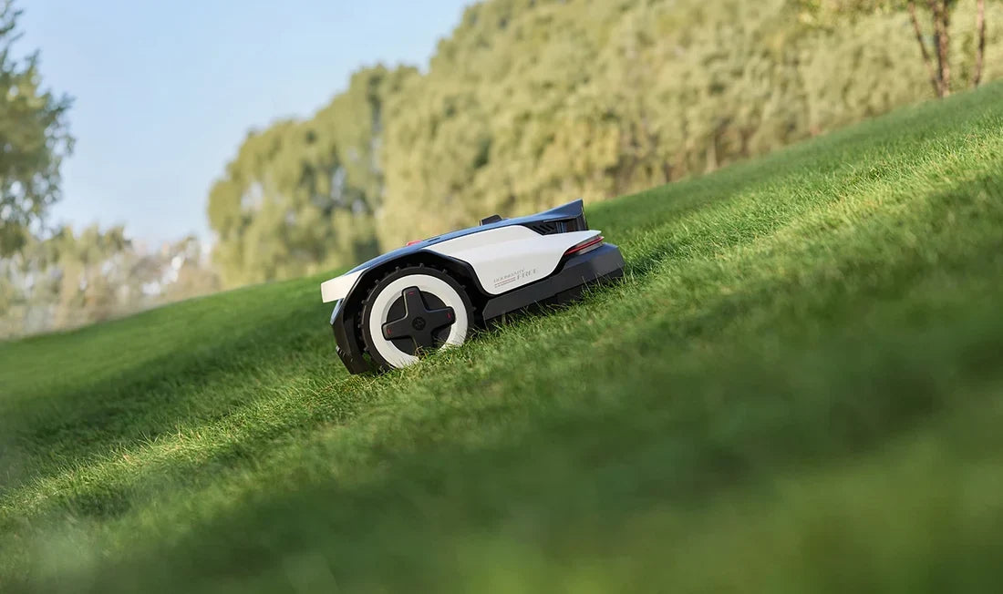 Roborock